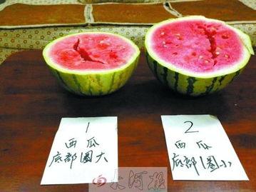 广州调酒圈吃瓜,揭秘幕后“吃瓜”大事件