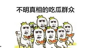吃瓜群众逆袭,从旁观者到主角的华丽蜕变