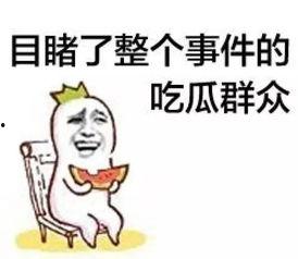 吃瓜群众wwh,网络热议背后的真实故事
