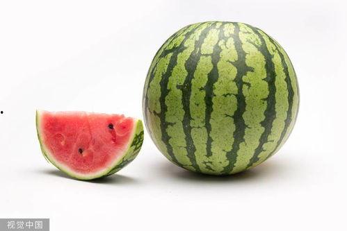 招财进宝大瓜吃瓜,吃瓜群众的热议焦点