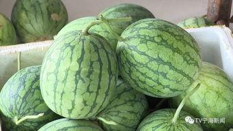 带你吃瓜看到彩虹,带你吃瓜探秘美食世界