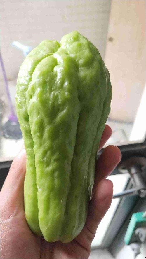 白色太空瓜怎么吃,探索白色太空瓜的食用方法