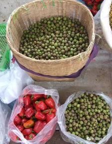 人间烟火吃瓜,吃瓜乐趣无限