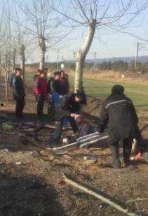 德州平原吃瓜事件视频,一场视觉盛宴背后的故事