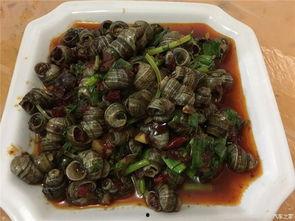 五一每日吃瓜,每日吃瓜不停歇，揭秘娱乐圈热点事件