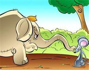 小老鼠吃拇指瓜,小老鼠的拇指瓜美食之旅