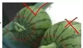 那些qq吃瓜群,QQ吃瓜群背后的热点风云