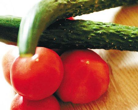 起点和番茄吃瓜,一场关于成长与抉择的奇幻之旅