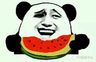 吃瓜群众瓜哥东北人,揭秘东北特色美食与风土人情