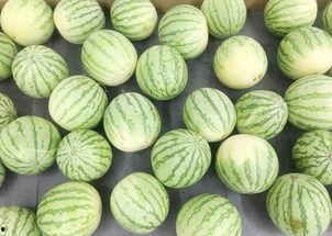 真吃瓜视频,揭秘娱乐圈幕后故事，带你领略明星真实生活