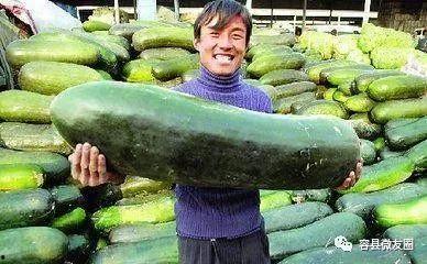 枫起南粤吃瓜,吃瓜群众的热议焦点