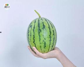 吃瓜检测,揭秘“吃瓜”背后的健康检测奥秘