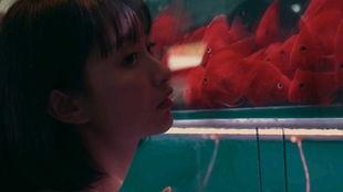 吃瓜女孩出处,网络热词背后的文化现象