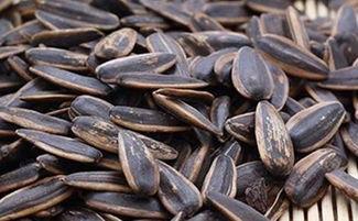 吃瓜还是吃瓜子,吃瓜还是吃瓜子，揭秘夏日消暑新风尚