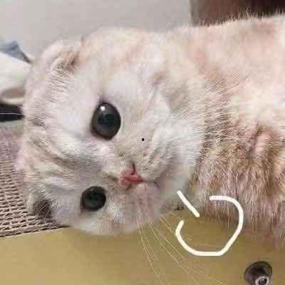 平平无奇吃瓜人,吃瓜人生的日常点滴