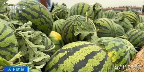 上热门吃瓜了,揭秘网络热点背后的故事