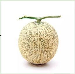 吃瓜群众 钙片,揭秘钙片的作用与选择