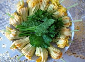 花朵吃瓜日常,一场花与瓜的奇妙邂逅