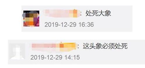 手机吃瓜群众照片,揭秘娱乐圈幕后故事