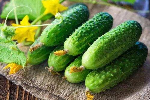 吃瓜不吃花吖,网络热词背后的文化现象