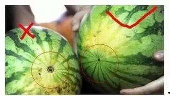 榕城吃瓜事件,揭秘网络舆论的风暴与真相