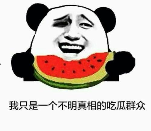 吃瓜始末,吃瓜群众见证的娱乐圈风云录