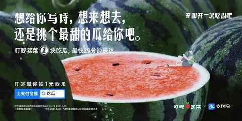 安静吃瓜文案,品味生活百态